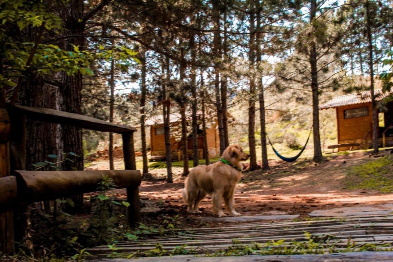 Sitio Do Tanque Chalet